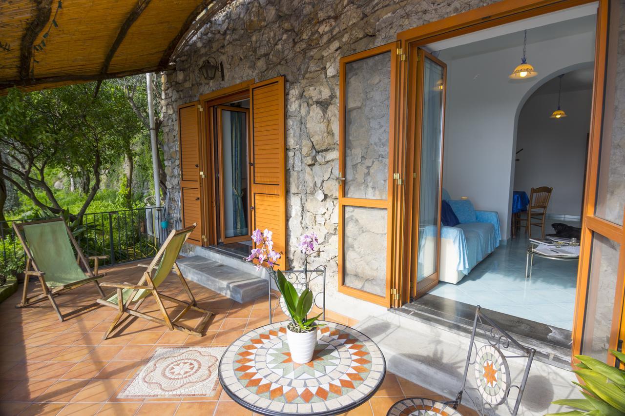 Le Nereidi B&B Positano Eksteriør bilde